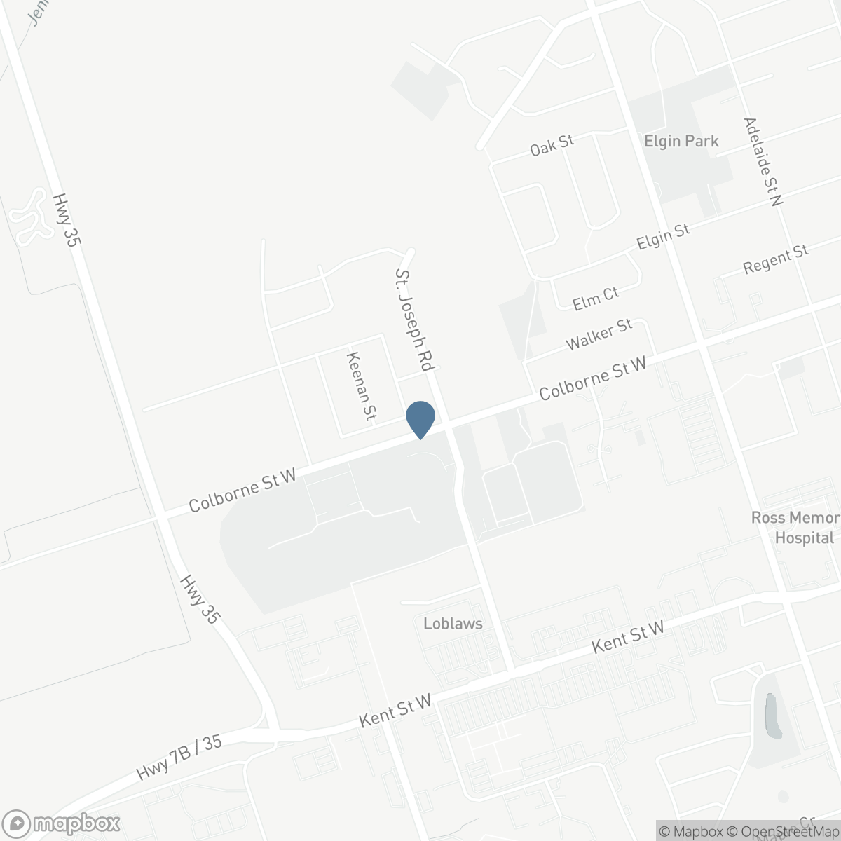 87 CORLEY STREET, Lindsay, Ontario K9V 0R2